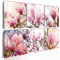 Schilderij - Zuidelijke magnolia&apos;s , wit roze , 6 luik